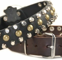 Studly - Studded Collar -Collars Sales Shop DTS56 4