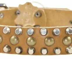 Studly - Studded Collar -Collars Sales Shop DTS56 5