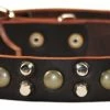 Bumps & Bits - Studded Collar 2 Bumps & Bits - Studded Collar -Collars Sales Shop DTS563cm 2