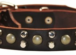 Bumps & Bits - Studded Collar