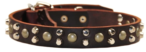 Bumps & Bits - Studded Collar 3 Bumps & Bits - Studded Collar