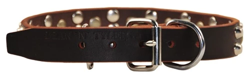 Bumps & Bits - Studded Collar 5 Bumps & Bits - Studded Collar - Image 3