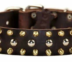 Golden Spike - Spiked Collar