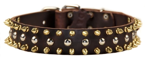 Golden Spike - Spiked Collar 3 Golden Spike - Spiked Collar