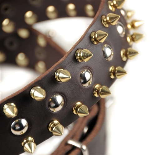 Golden Spike - Spiked Collar 4 Golden Spike - Spiked Collar - Image 2