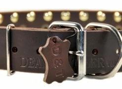 Golden Spike - Spiked Collar 10 Golden Spike - Spiked Collar -Collars Sales Shop DTS57 4