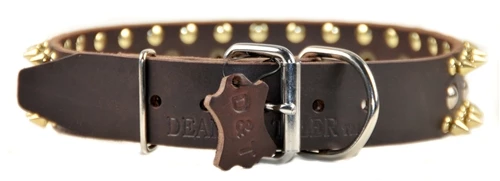 Golden Spike - Spiked Collar 5 Golden Spike - Spiked Collar - Image 3