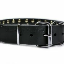 Golden Spike - Spiked Collar 11 Golden Spike - Spiked Collar -Collars Sales Shop DTS57 5