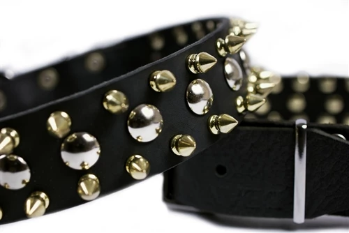 Golden Spike - Spiked Collar 8 Golden Spike - Spiked Collar - Image 6
