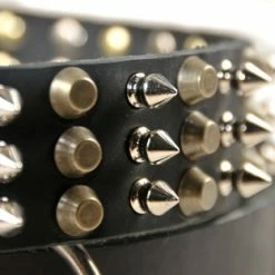 3+3 - Spiked Leather Collar -Collars Sales Shop DTS58 4