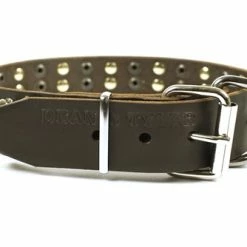 3+3 - Spiked Leather Collar -Collars Sales Shop DTS58 6