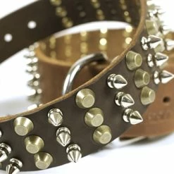 3+3 - Spiked Leather Collar -Collars Sales Shop DTS58 7