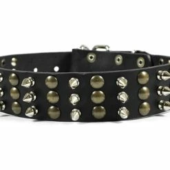 Tolerance - Spiked Collar