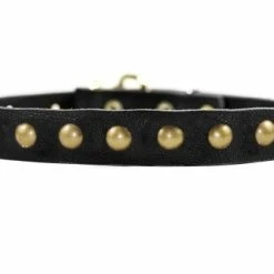 Dog Circle - Leather Collar