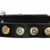 Dot Matrix - Leather Collar -Collars Sales Shop DTSpecial25dottedcircles 2