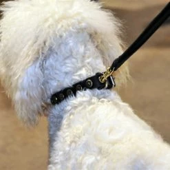 Dot Matrix - Leather Collar -Collars Sales Shop DTSpecial25dottedcircles 7