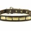 Plated Beauty - Leather Collar