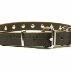 Plated Beauty - Leather Collar -Collars Sales Shop DTSpecial25plates 3