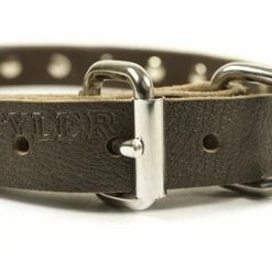 Plated Beauty - Leather Collar -Collars Sales Shop DTSpecial25plates 4