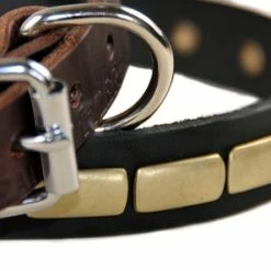 Plated Beauty - Leather Collar -Collars Sales Shop DTSpecial25plates 7