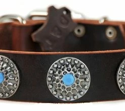 Queenie - Leather Collar