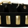 Plated Perfection - Leather Collar -Collars Sales Shop DTSpecial33plates 2