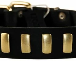 Plated Perfection - Leather Collar