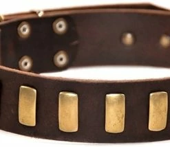 Plated Perfection - Leather Collar 11 Plated Perfection - Leather Collar -Collars Sales Shop DTSpecial33plates 5