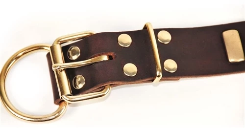 Plated Perfection - Leather Collar 8 Plated Perfection - Leather Collar - Image 6