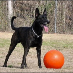 Varsity Ball - Indestructible